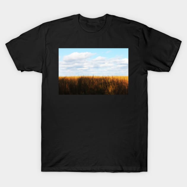 Amber Waves T-Shirt by photoclique